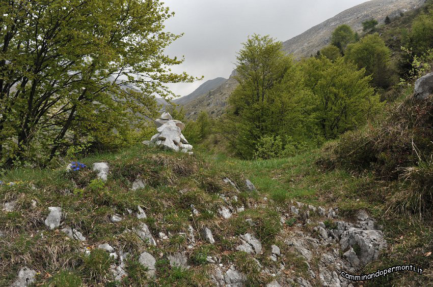 068 Periplo del Grem.JPG